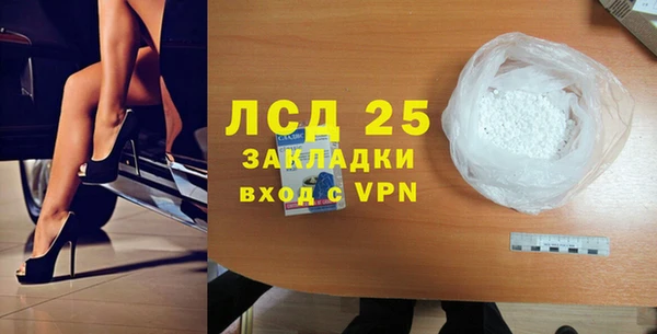 индика Зеленодольск