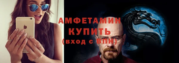 индика Зеленодольск