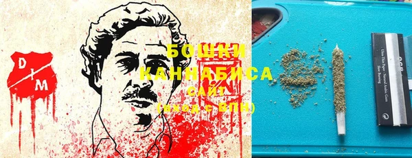 стаф Зеленокумск