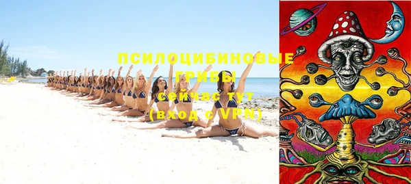 индика Зеленодольск