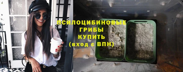 индика Зеленодольск